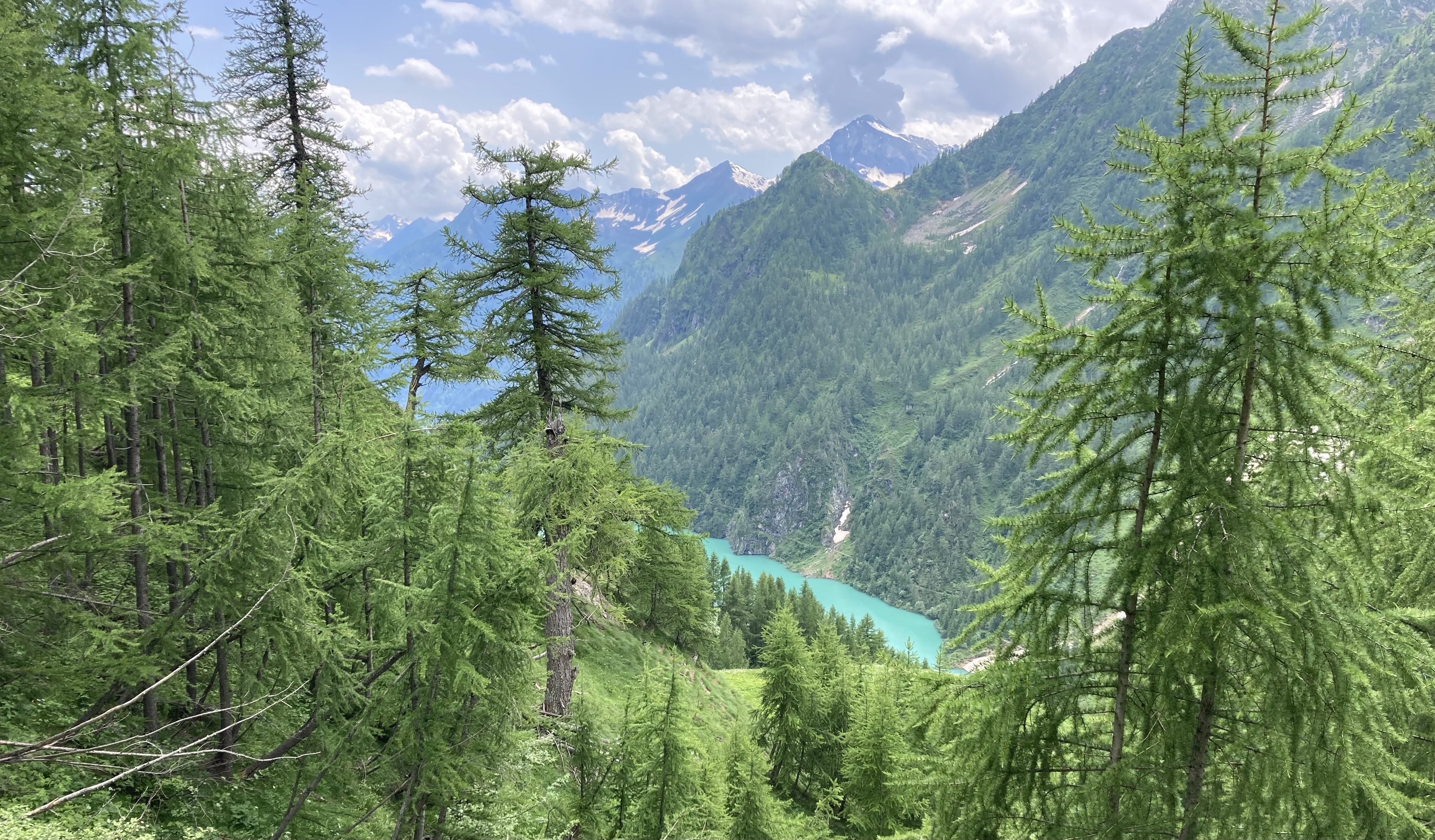 Image for Publications