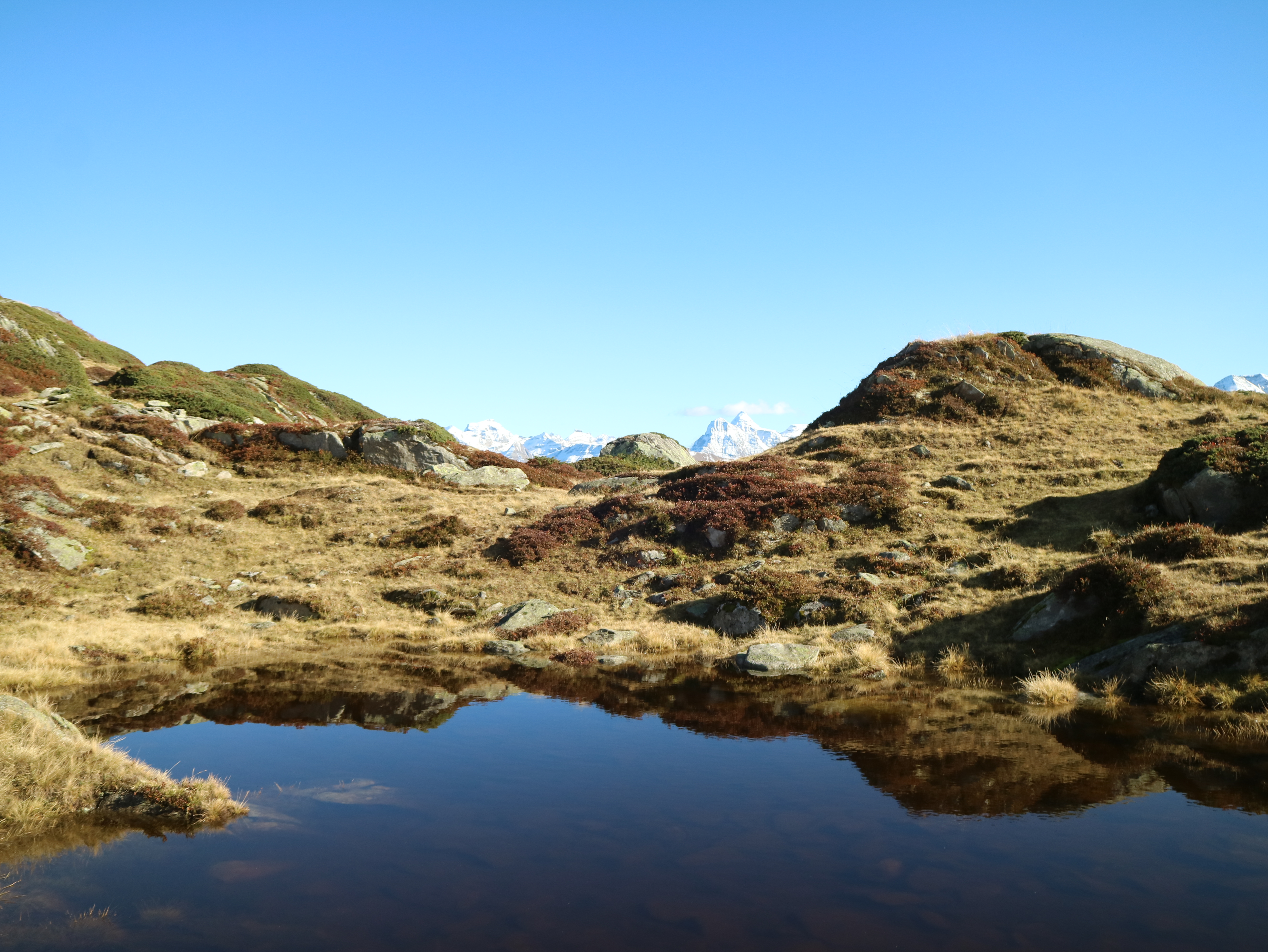 What is pharmacogenomics? thumbnail