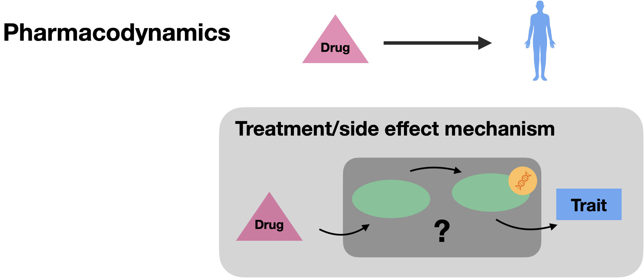 Pharmacodynamics