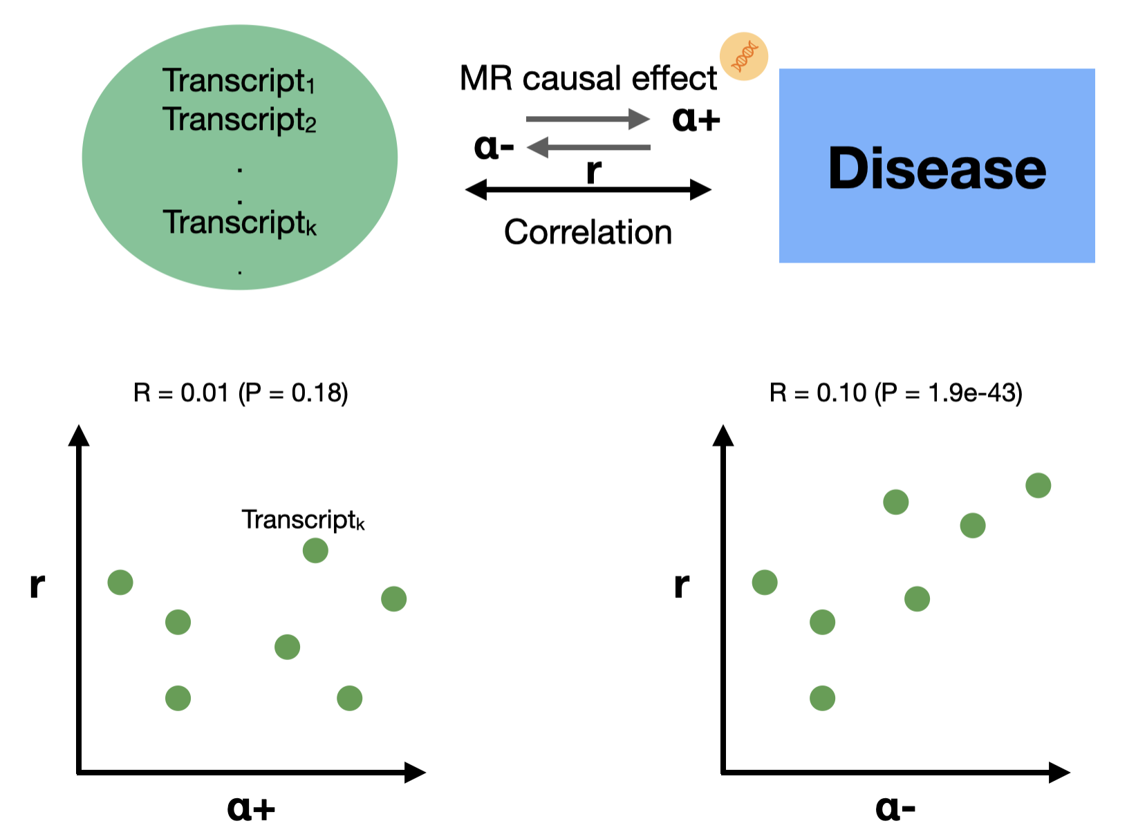 Transcriptome correlations vs causation thumbnail